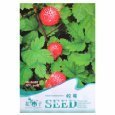 蔷薇花籽种植全攻略 亚马逊园艺畅销产品分类与选购指南