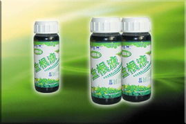 北京富邦通达园艺中心 园艺产品种植的艺术与实践